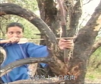 夫妻俩意外放生一条大蛇，谁料它竟是龙王所化