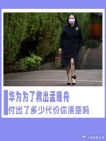 为什么要不懈余力的救出孟晚舟，看完背后的布局就明白了