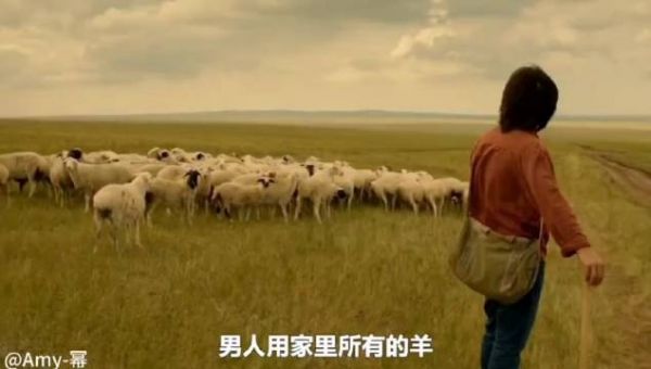 妻子怀孕丈夫却外出旅游,等他玩累了,家却没了