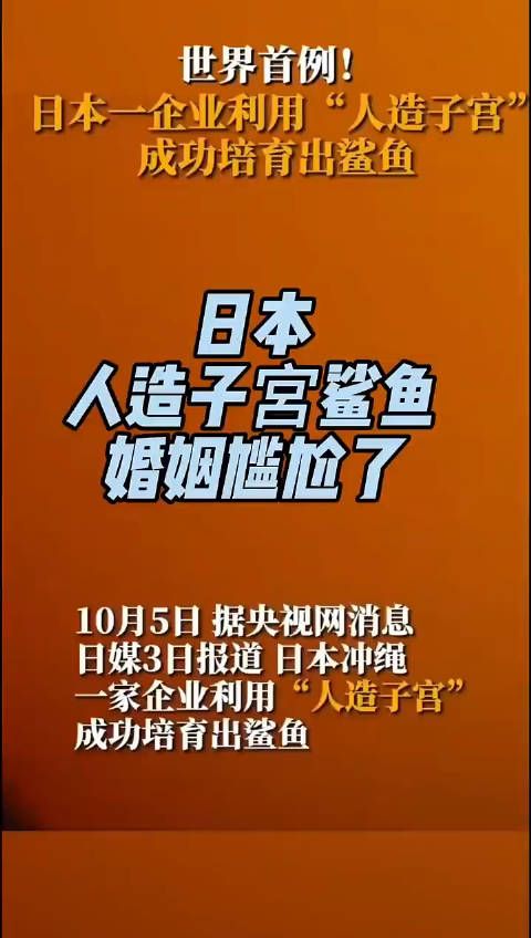 日本,人造鲨鱼,婚姻太尴尬了