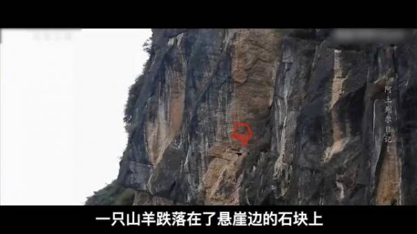 距离地面垂直距离800米的村庄，因为没有路孩子10岁才上学前班