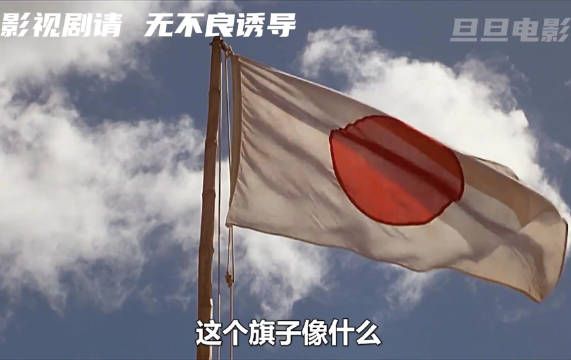 日本国旗像什么,女人说真话,付出惨痛代价
