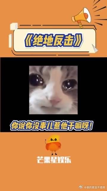 大妈咱好好的坐着不行吗，你说你惹他干嘛呀！