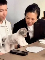 向太祝福萧敬腾林有慧新婚快乐，并晒出萧敬腾捡的小狗！