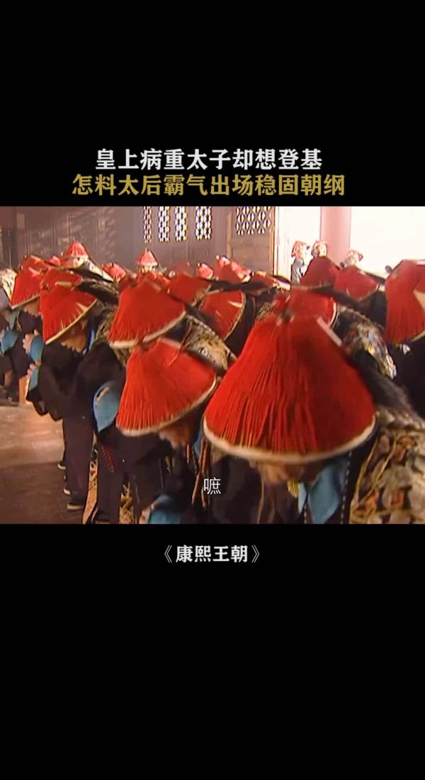 康熙病危,太子想趁机登基,孝庄太后出场震慑全朝大臣……