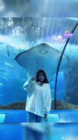 女子邀请海洋馆魔鬼鱼合影....
