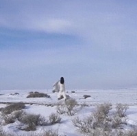 33岁知名女星李沁旅居新疆！脱衣狂奔不怕冷，引起网友热议
