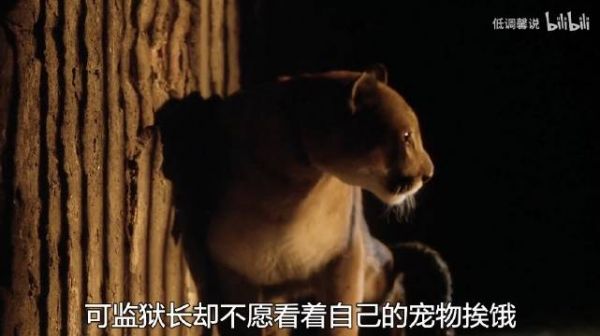 混乱的女子监狱,沦为高官的游乐场,一部揭露人性黑暗的电影