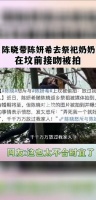 陈晓带陈妍希去祭祀奶奶在坟前接吻被拍