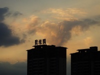 月薪1万，杨惠妍“砸锅卖铁”