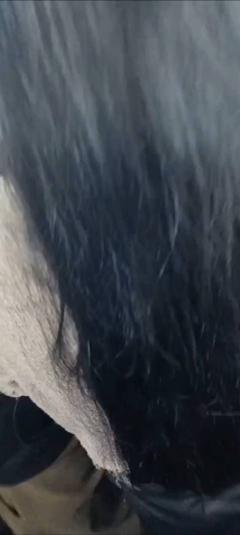 网友:广州地铁,这女的占有欲好强,碰一下她老公都不行……