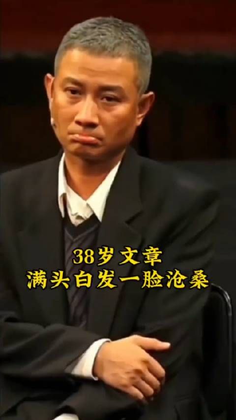 文章身上的痞帅和灵性没有了,突然有点像马少骅了!