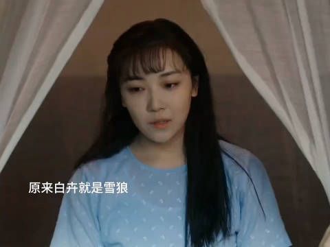 白卉就是雪狼,你们猜到了吗 画眉