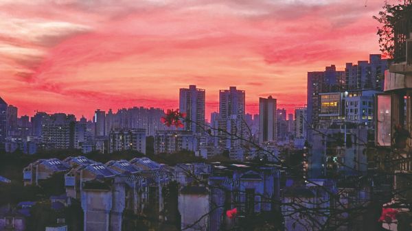     ▲美丽晚霞（热心市民王婷供图）