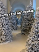 真是富贵迷人眼卡戴珊在抖上晒出了她家今年的圣诞