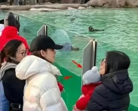 章泽天二胎首度曝光，刘强东出轨数年后，她变这样了？