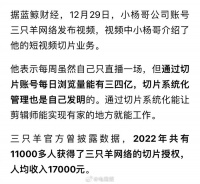 小杨哥谈直播切片：每日浏览量三四亿……