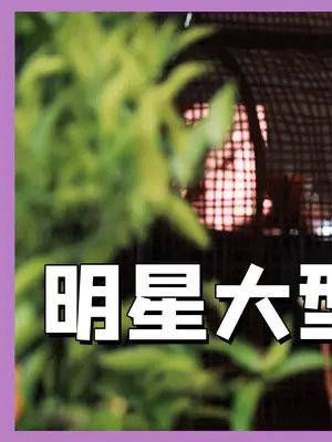 赵丽颖为什么能火?看看她在微博之夜都做了些什么