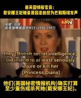 前英国情报官员：戴安娜王妃被杀原因是她想为巴勒斯坦发声