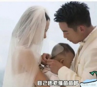 郑恺公开谈论推迟婚礼的真相，解释并非出于自己的意愿……