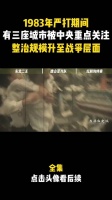 1983年严打期间，有三座城市被中央重点关注……