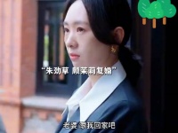 陈晓 童瑶《小日子》朱劲草顾茉莉复婚，茉莉再次跟着朱劲草回家…