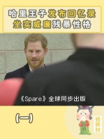 原来哈里王子才是英王室最正常的人，威廉王子曾是校园暴力制造者？ 英国王室