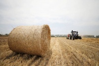 不让烧秸秆，仅看守干部餐食费就10多万元，最后还是烧了……