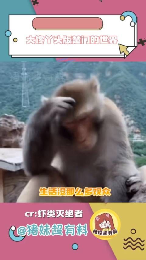 生活没那么多观众,但到处是高清摄像头万万想不到搞笑