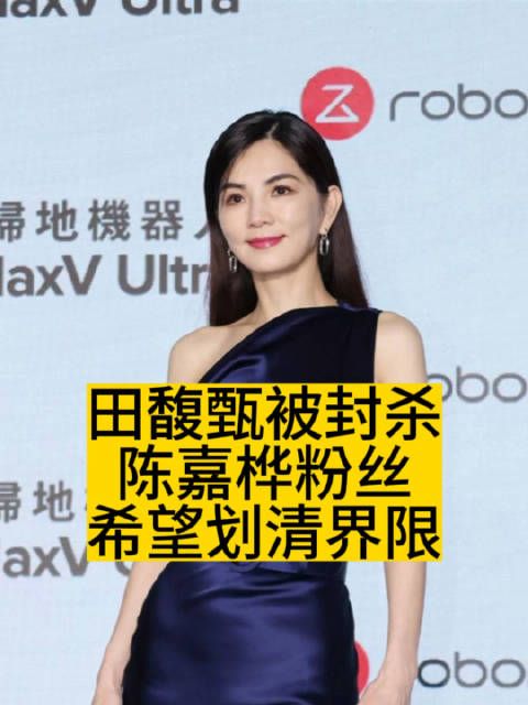 田馥甄被封杀,陈嘉桦粉丝希望划清界限