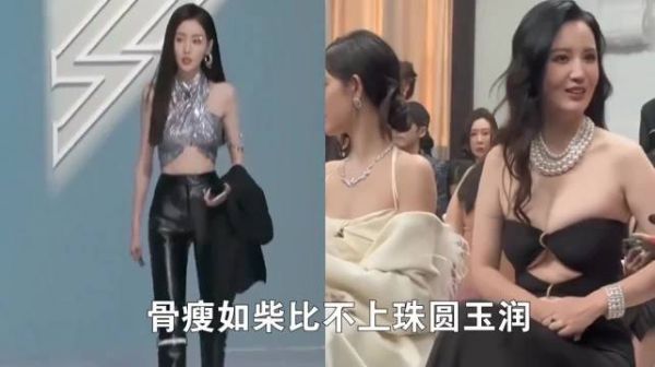 张雨绮和刘亦菲才是女星中的完美代表啊