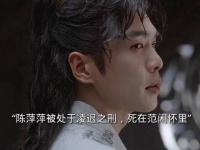 陈萍萍为了给叶轻眉报仇回京赴死，范闲赶回来时他已经奄奄一息…