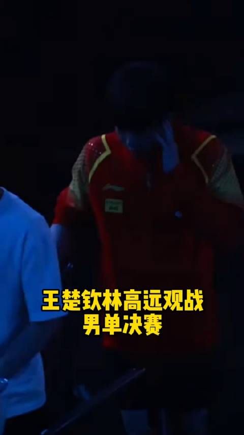 王楚钦林高远观战大胖和勒布伦的男单决赛！