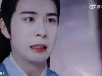 终究还是姐妹俩共同承担起一切，少典有琴和嘲风开始等待花儿绽放了