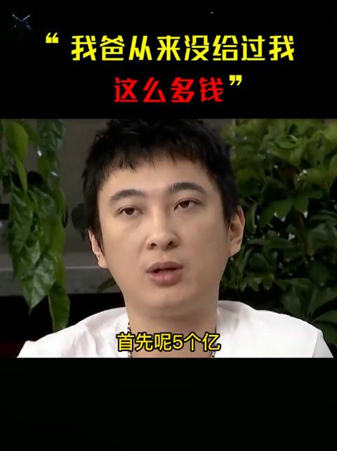 王思聪:“我爸从来没给过我那没多钱!”真是个勤俭持家的好父亲