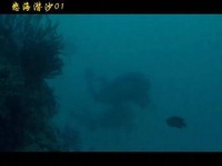 深海的秘密，海猴与禁婆的奇异邂逅，钢铁三角重逢的时刻