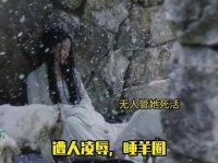 婉宁的命运让人怜悯，那份悲惨竟让人忘却了她的可恨之处，对她恨意全消