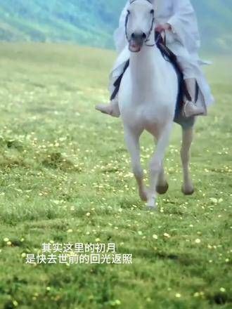 听说你曾寻觅过我,阿涵的歌声中,初月的思念病入膏肓…
