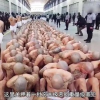 热门佳作聚焦 爆红短剧先睹为快