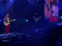 在忙碌的之夜，我们共同重温那些