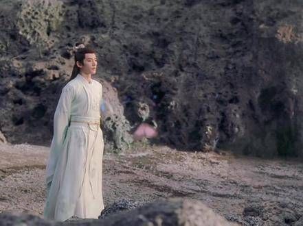 又发现一个微妙的线索,璟辨认出在清水镇救助的那对蝴蝶?