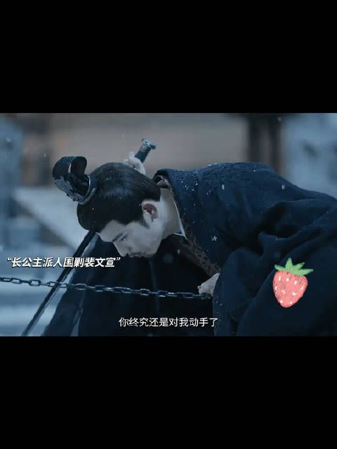 裴文宣被长公主围剿,未曾想与她这般,就在刚刚因为立储一事争吵…