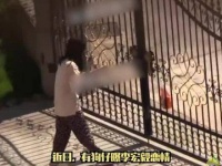 明星透露，收工后直奔私人寓所，与伴侣共度整夜