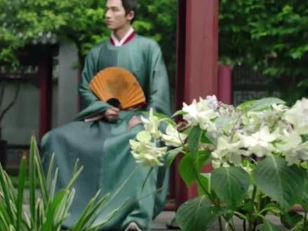 阿狸有言:世间纷扰,真理常隐,但心无垢者,终将昭雪于世