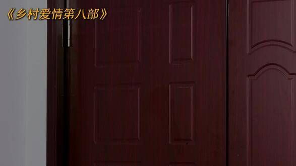 赵四在乡村爱情8中的职场奋斗…