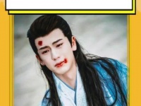 根本抵挡不住度华年苍兰诀情感