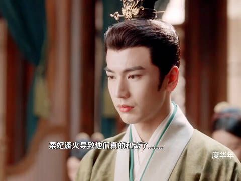 柔妃在陛下面前煽风点火,导致他们真的和离了