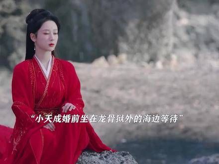从今往后,他再无借口亲近小夭,相遇的那一刻起,他们将成为彼此的对手!
