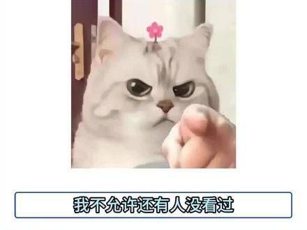 怎能遗漏这精彩瞬间,仿佛动漫跃然眼前的感受