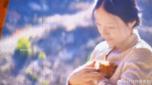 一部映射恶人丑恶与弱者无奈的爱情悲剧
